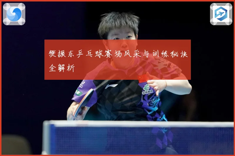 樊振东乒乓球赛场风采与训练秘诀全解析